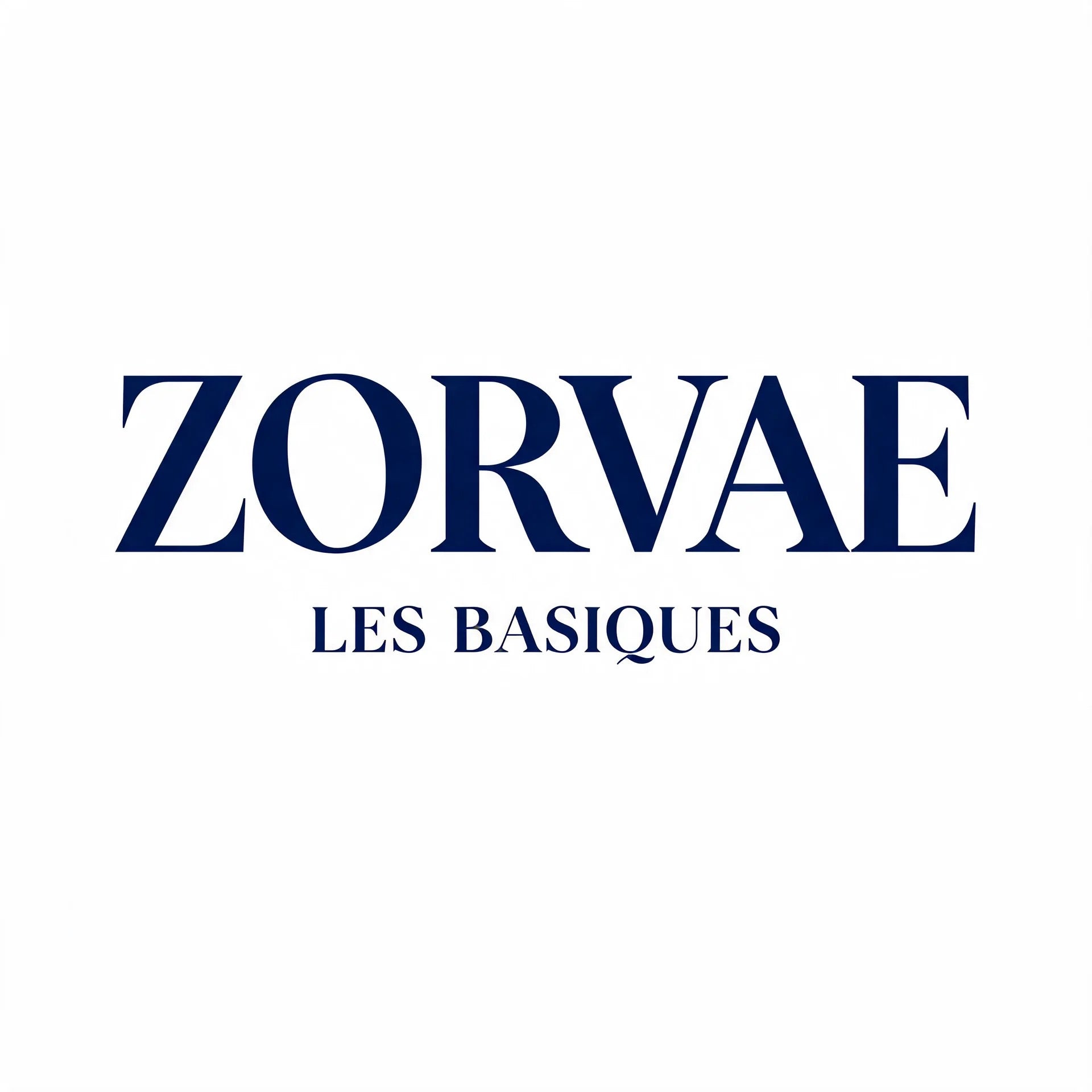 Les basiques de ZORVAE